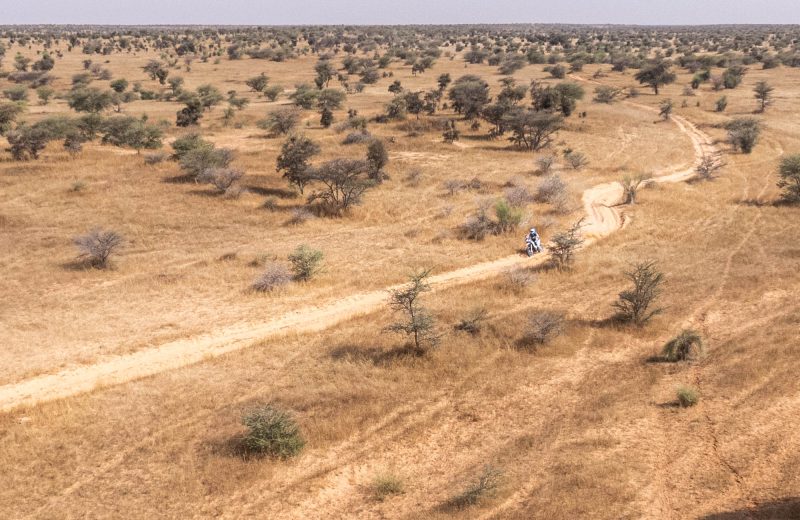 Africa Race 2022 – Etape N°11 : Ouad Naga / Mpal — 15