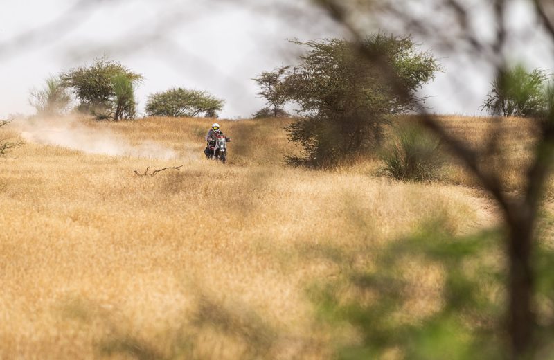 Africa Race 2022 – Etape N°11 : Ouad Naga / Mpal — 25