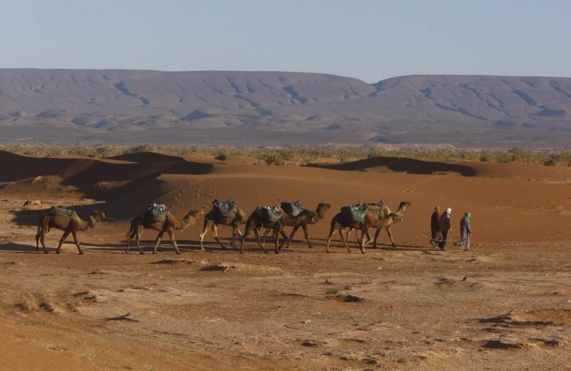 Africa Race 2017 – Etape N°3 : Tagounite > Assa — 2