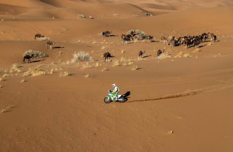 Africa Race 2017 – Etape N°3 : Tagounite > Assa — 47
