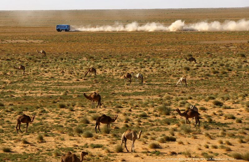Africa Eco Race 2014 — 62