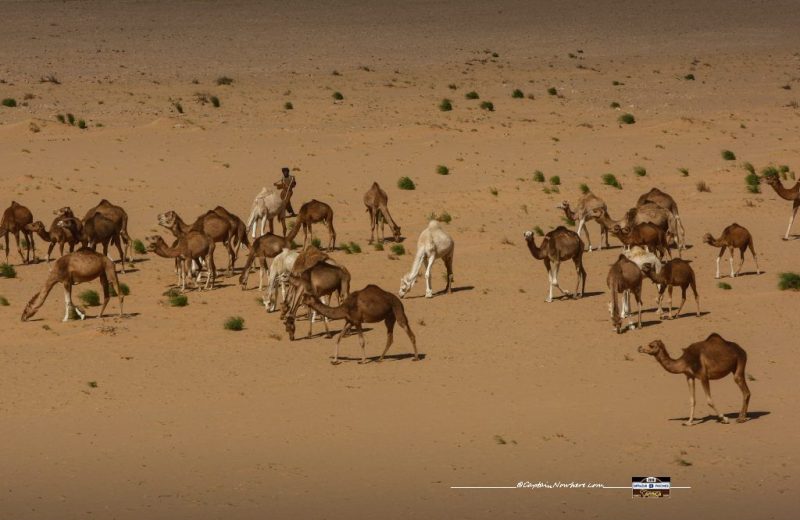 Africa Race 2018 – Etape N°6 : Dakhla / Chami — 3