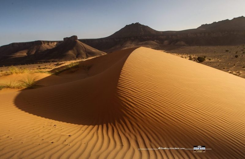 Africa Race 2018 – Etape N°10 : Amodjar / Akjoujt — 48