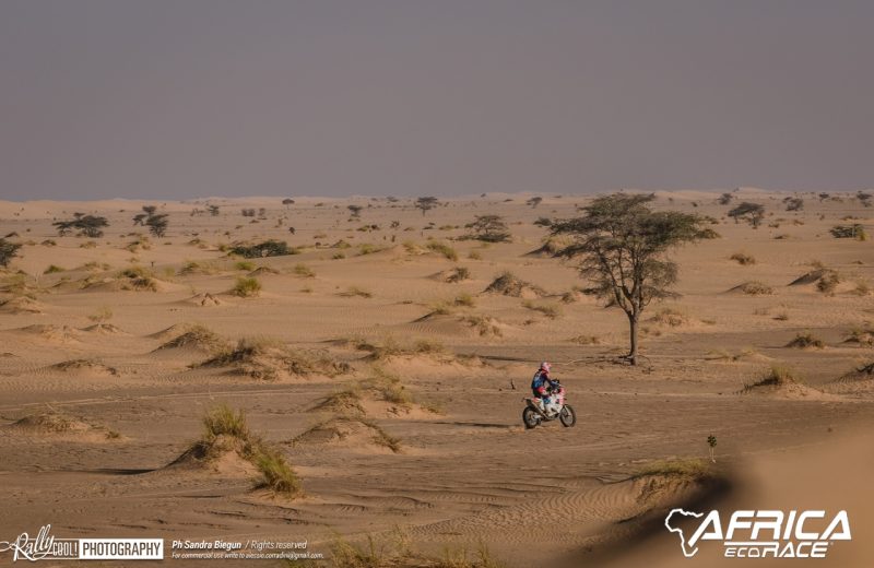 Africa Race 2019 – Etape N°8 : Chami/Amodjar — 108