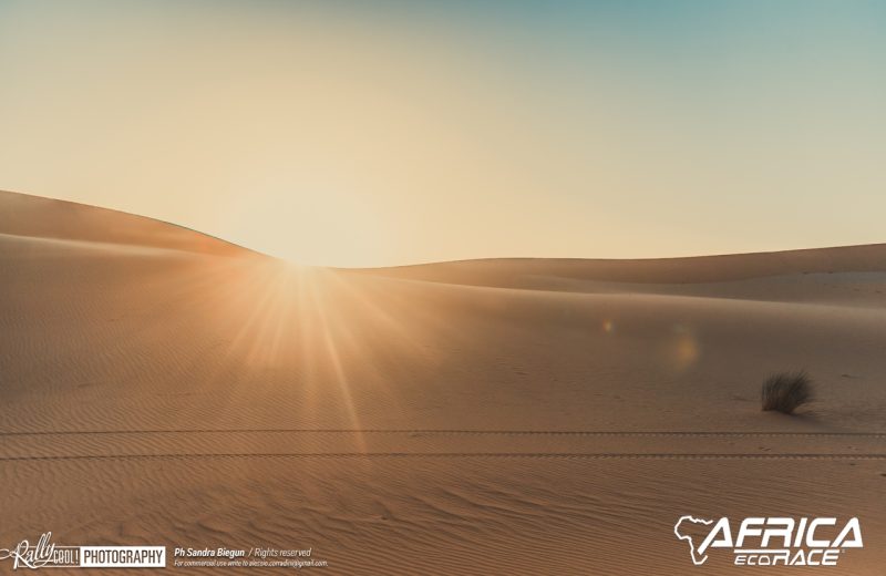 Africa Race 2019 – Etape N°8 : Chami/Amodjar — 125