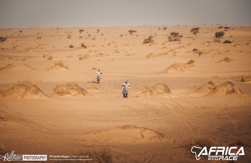 Africa Race 2019 – Etape N°8 : Chami/Amodjar — 170