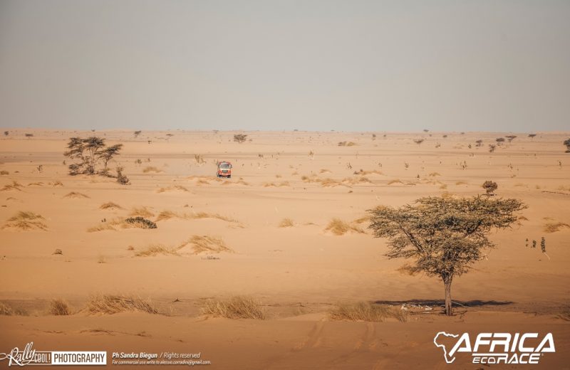 Africa Race 2019 – Etape N°8 : Chami/Amodjar — 199