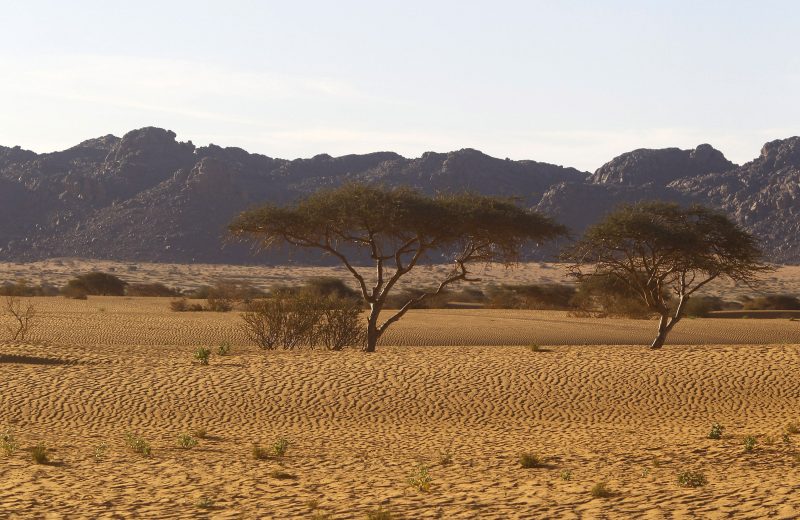 Africa Race 2019 – Etape N°9 : Amodjar/Amodjar — 209