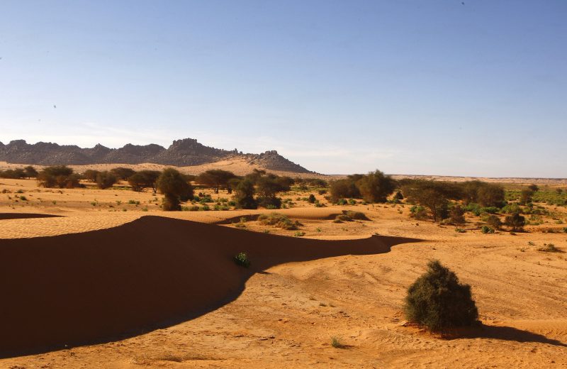 Africa Race 2019 – Etape N°9 : Amodjar/Amodjar — 208
