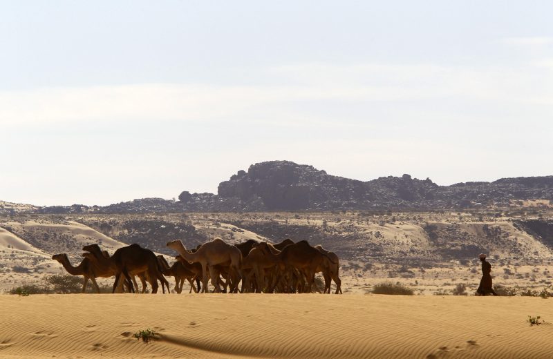 Africa Race 2019 – Etape N°9 : Amodjar/Amodjar — 198