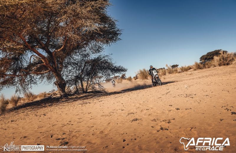 Africa Race 2019 – Etape N°9 : Amodjar/Amodjar — 44
