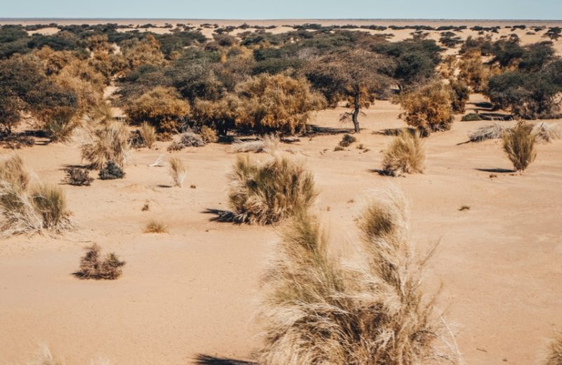 Africa Race 2019 – Etape N°9 : Amodjar/Amodjar — 74
