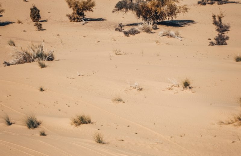 Africa Race 2019 – Etape N°9 : Amodjar/Amodjar — 14