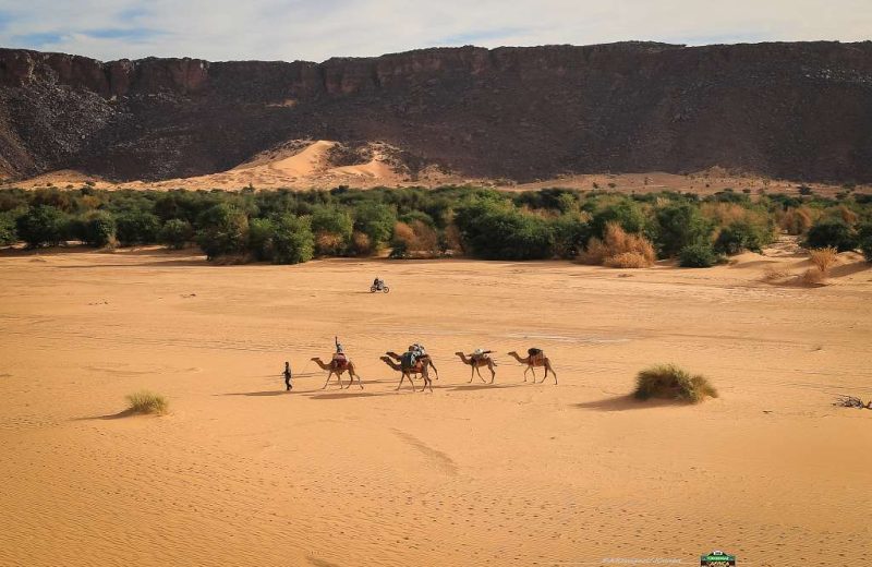 Africa Race 2019 – Etape N°10 : Amodjar/Akjoujt — 73