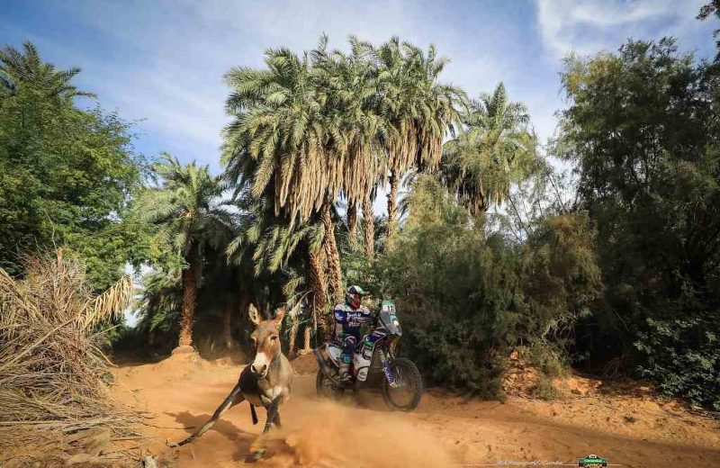 Africa Race 2019 – Etape N°10 : Amodjar/Akjoujt — 60