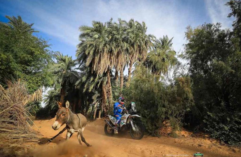 Africa Race 2019 – Etape N°10 : Amodjar/Akjoujt — 61