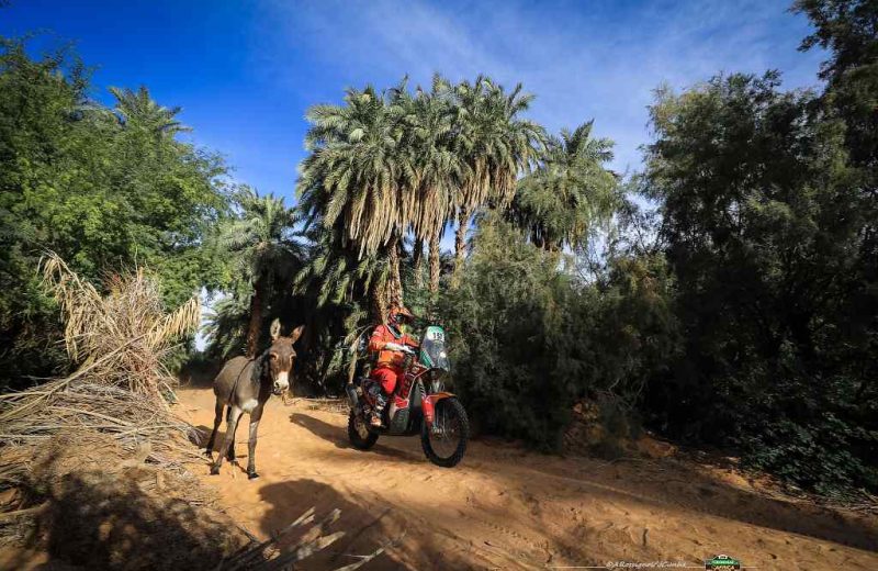 Africa Race 2019 – Etape N°10 : Amodjar/Akjoujt — 62