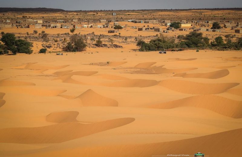 Africa Race 2019 – Etape N°10 : Amodjar/Akjoujt — 51