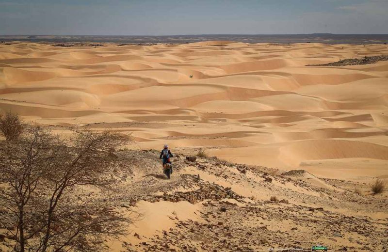 Africa Race 2019 – Etape N°10 : Amodjar/Akjoujt — 26