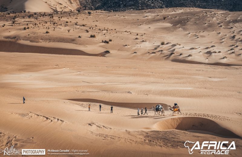 Africa Race 2019 – Etape N°10 : Amodjar/Akjoujt — 329