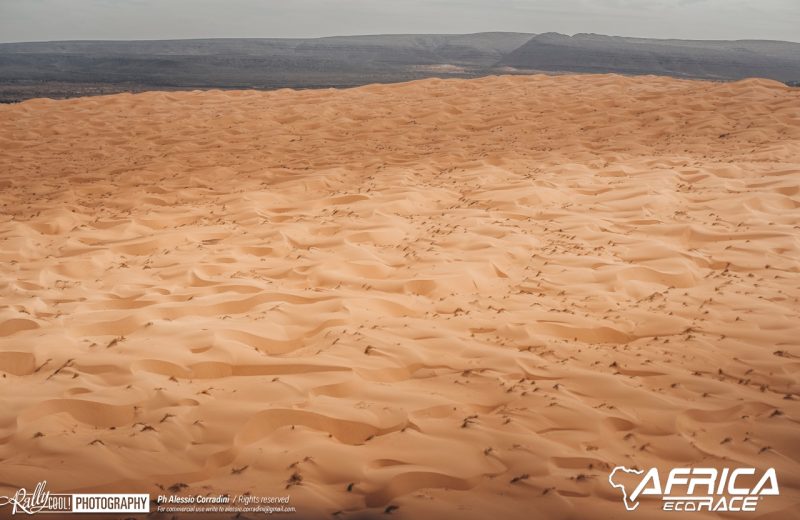 Africa Race 2019 – Etape N°10 : Amodjar/Akjoujt — 316