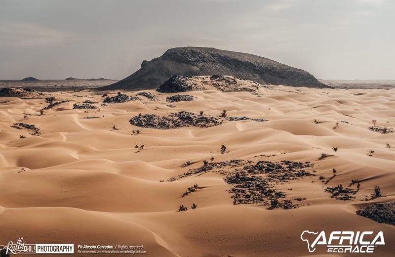 Africa Race 2019 – Etape N°10 : Amodjar/Akjoujt — 295