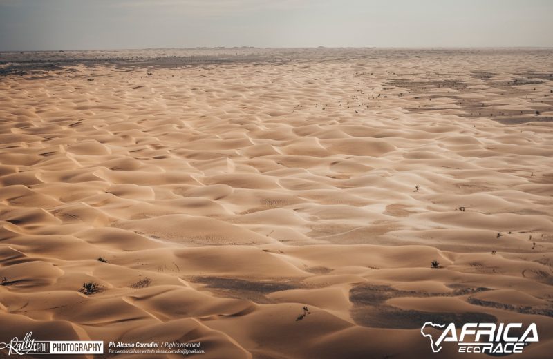 Africa Race 2019 – Etape N°10 : Amodjar/Akjoujt — 319