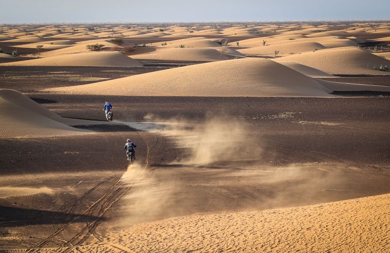 Africa Race 2019 – Etape N°11 : Akjoujt/Saint Louis — 44
