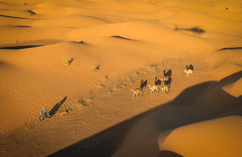 Africa Race 2019 – Etape N°11 : Akjoujt/Saint Louis — 45