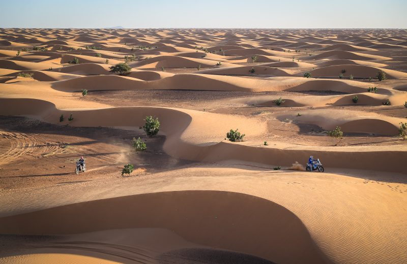 Africa Race 2019 – Etape N°11 : Akjoujt/Saint Louis — 43