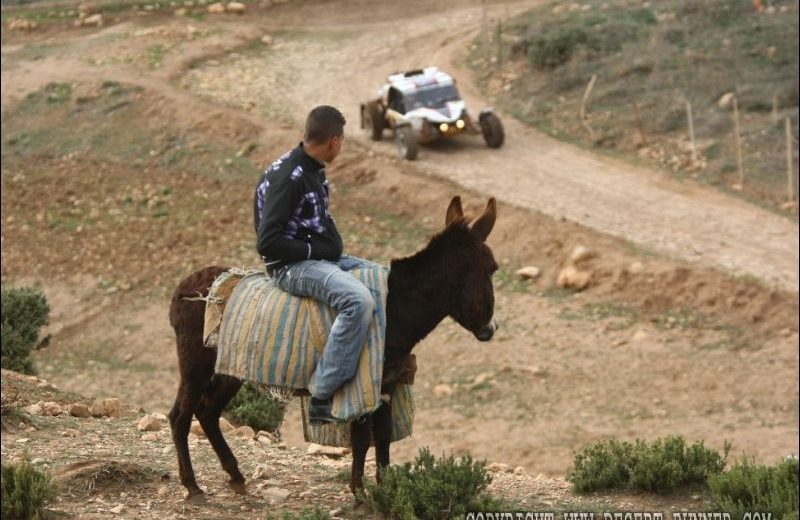 Africa Eco Race 2011 — 20