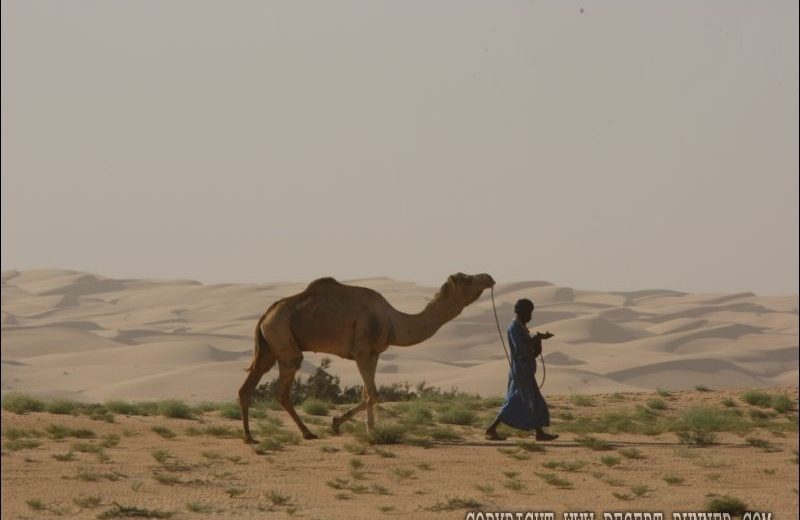 Africa Eco Race 2011 — 70