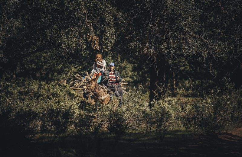 Africa Race 2020 – Etape N°1 : Tanger/Tarda — 121