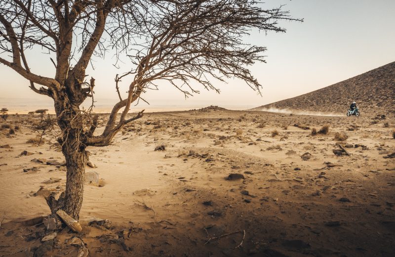 Africa Race 2020 – Etape N°4 : Assa/Smara — 35