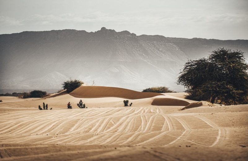 Africa Race 2020 – Etape N°8 : Aidzidine / Tidjikja — 114