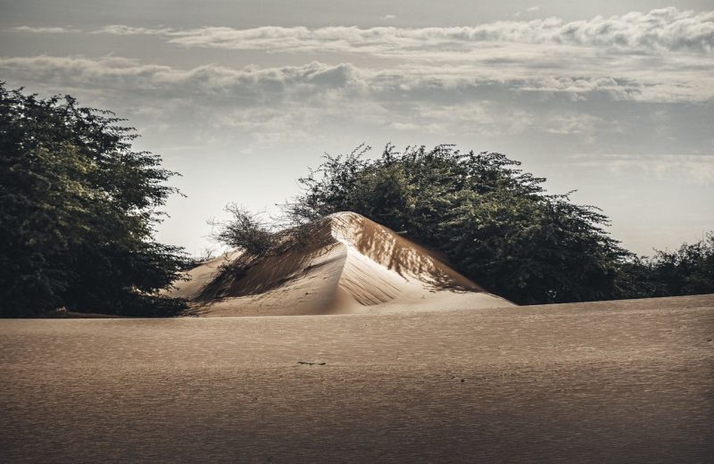 Africa Race 2020 – Etape N°8 : Aidzidine / Tidjikja — 115