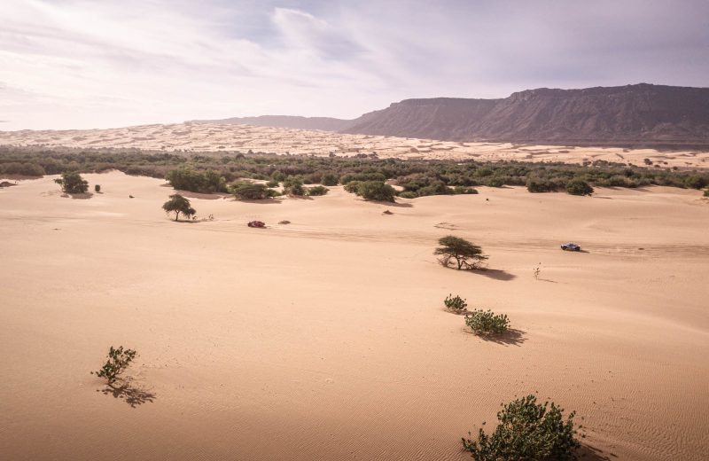 Africa Race 2020 – Etape N°8 : Aidzidine / Tidjikja — 16