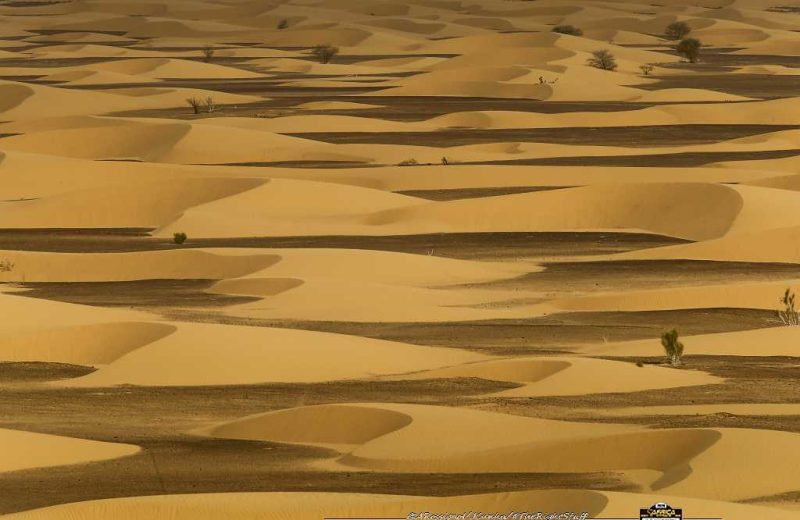 Africa Race 2020 – Etape N°8 : Aidzidine / Tidjikja — 154