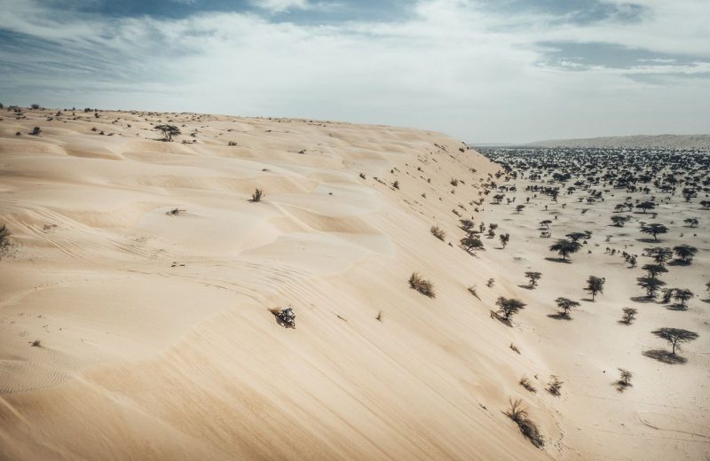 Africa Race 2020 – Etape N°9 : Tidjikja / Tidjikja — 37