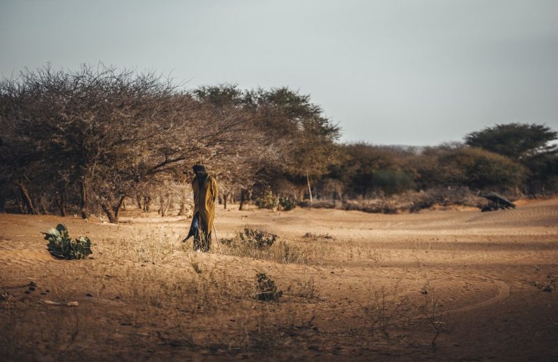 Africa Race 2020 – Etape N°9 : Tidjikja / Tidjikja — 15