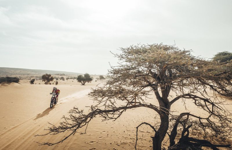 Africa Race 2020 – Etape N°10 : Tidjikja / Idini — 58