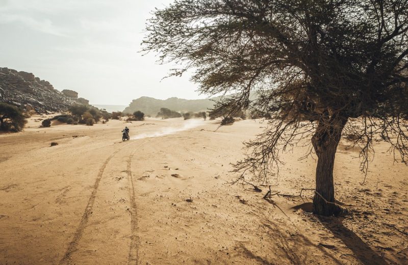 Africa Race 2020 – Etape N°10 : Tidjikja / Idini — 1