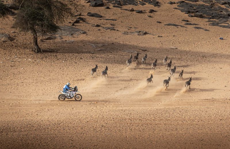 Africa Race 2020 – Etape N°10 : Tidjikja / Idini — 149