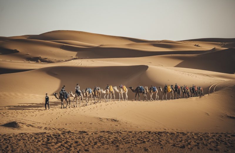 Africa Race 2022 – Etape N°2 : Bousaid / Tagounite — 29
