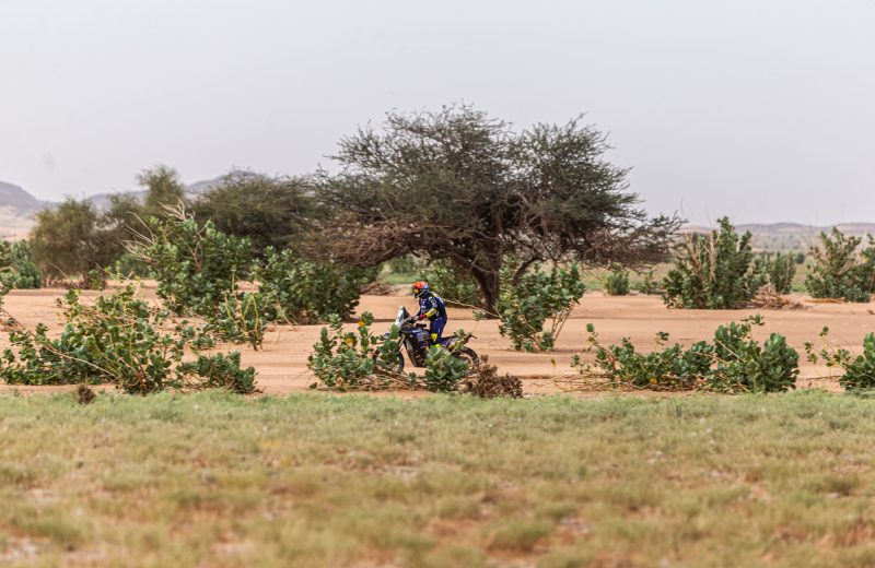 Africa Race 2022 – Etape N°8 : Akjoujt / Akjoujt — 25